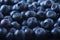 Fresh ripe blueberries with drops of dew. Macro photo. Fresh blueberry background. Texture blueberry berries close up. Ripe bilber