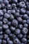 Fresh ripe blueberries macro shot, fruit background