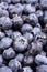 Fresh ripe blueberries macro shot, fruit background