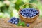 Fresh ripe blueberry in wicker basket on the old wooden table with blurred garden background