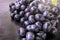 Fresh ripe Bunches of black Grapes berries on kitchen table