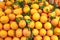 Fresh ripe clementines with green leaves