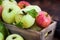 Fresh ripe colorful apples in wooden box on rustic background
