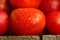 Fresh ripe delicious Roma tomatoes on wooden background