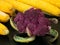 Fresh, ripe ears of corn and forks of purple cauliflower. Located on a black wooden surface. close-up