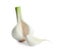 Fresh ripe garlic on white background.