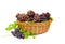 Fresh ripe grapes Vitis vinifera with leaves in the basket on white background