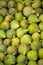 Fresh ripe green figs closeup background.