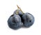 Fresh ripe juicy black grapes isolated