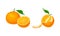 Fresh ripe juicy mandarin fruits set vector illustration