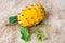 Fresh ripe kiwano, Cucumis metuliferus, on ceramic background