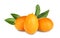 Fresh ripe kumquat fruits on white background