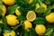 Fresh and Ripe Lemons hanging on a branch with Leaf