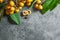 Fresh ripe loquat japanese medlar fruit with branch and leaf on grey rustic table