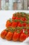 Fresh ripe mini marzano tomatoes