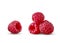 Fresh ripe natural organic raspberry isolated on a white background.