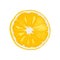 Fresh Ripe Orange Juicy Round Slice Illustration