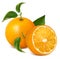Fresh ripe oranges with leaves.