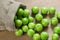 Fresh ripe organic green plums or greengage in burlap sack on wooden background
