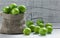 Fresh ripe organic green plums or greengage in burlap sack on wooden background