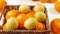 Fresh ripe organic oranges and lemons close up in basket