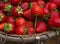 Fresh ripe organic strawberries in the basket.Strawberry harvest.Summer berries.