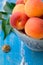 Fresh ripe organic whole apricots in ceramic bowl on blue wood garden table, kernel, green leaves