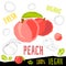 Fresh ripe peach peaches fruits organic vegan food vector hand drawn illustrations