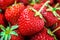 Fresh ripe perfect red strawberry - food frame background, closeup.