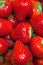 Fresh ripe perfect strawberry, Food Frame Background