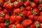 Fresh ripe perfect strawberry - Food Frame Background. Fresh strawberry as texture background. Natural food backdrop with red