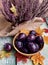 Fresh ripe plums in a plate on a vintage background with burlap.