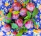 Fresh ripe plums scattered on colored fabric closeup