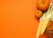 Fresh ripe pumpkin and corn on an orange background. Thanksgiving Autumn Concept. Flat layout. Empty place for text