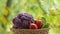 Fresh ripe purple cauliflower, red tomatoes and green cucumber in basket. Healthy food on table on defocus autumn