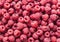 Fresh ripe raspberry food background. Copy space, flat lay