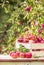 Fresh ripe red apples in wooden crate on garden table