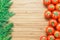 Fresh ripe red cherry tomatoes and fresh green dill on a wooden cutting board. Nature vegetable concept. Background for healthy d