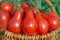 Fresh ripe red pear tomatoes in a basket on the garden