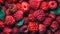 Fresh ripe red raspberries with water drops, closeup, macro, food background.