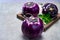 Fresh ripe sicilian purple globe eggplant vegetable ready to cook