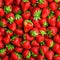 Fresh ripe strawberries background