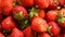 Fresh ripe strawberries fruits as food background.