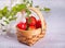 Fresh ripe strawberries in a tiny basket