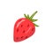 Fresh ripe strawberry vector Ilustration