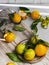 Fresh, ripe tangerines or clementines with leaves and a light wooden surface. Top view. Citrus