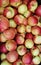 Fresh ripe tasty Mcintosh apples are picked and stacked in a crate