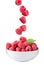 Fresh ripe tasty raspberries falling into bowl on background