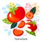 Fresh ripe tomato vegetable juice splash organic food juicy tomatoes vegetables splatter on abstract background vector.