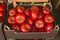 Fresh ripe tomatoes packaged in carton box on street market or greengrocery